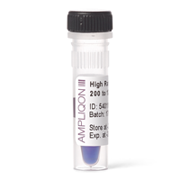 High Range DNA Ladder | Ampliqon