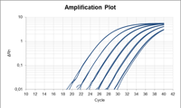 Amplification Plot Realq Plus Probe