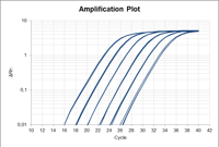 Amplification Plot Realq Plus Green