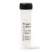AQ97 High Fidelity Dna Polymerase