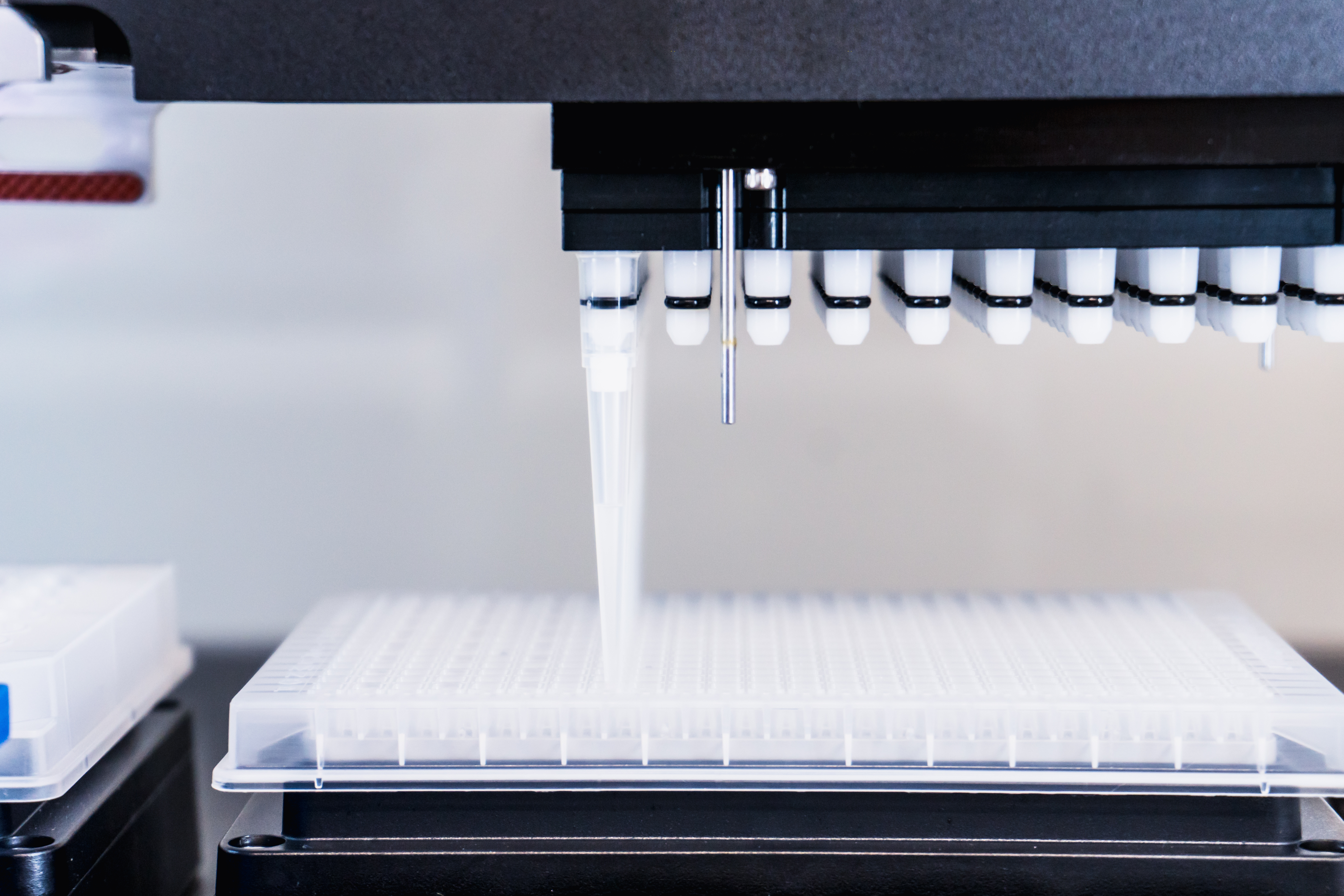 Ampliqon Taq DNA Polymerase Glycerol Free