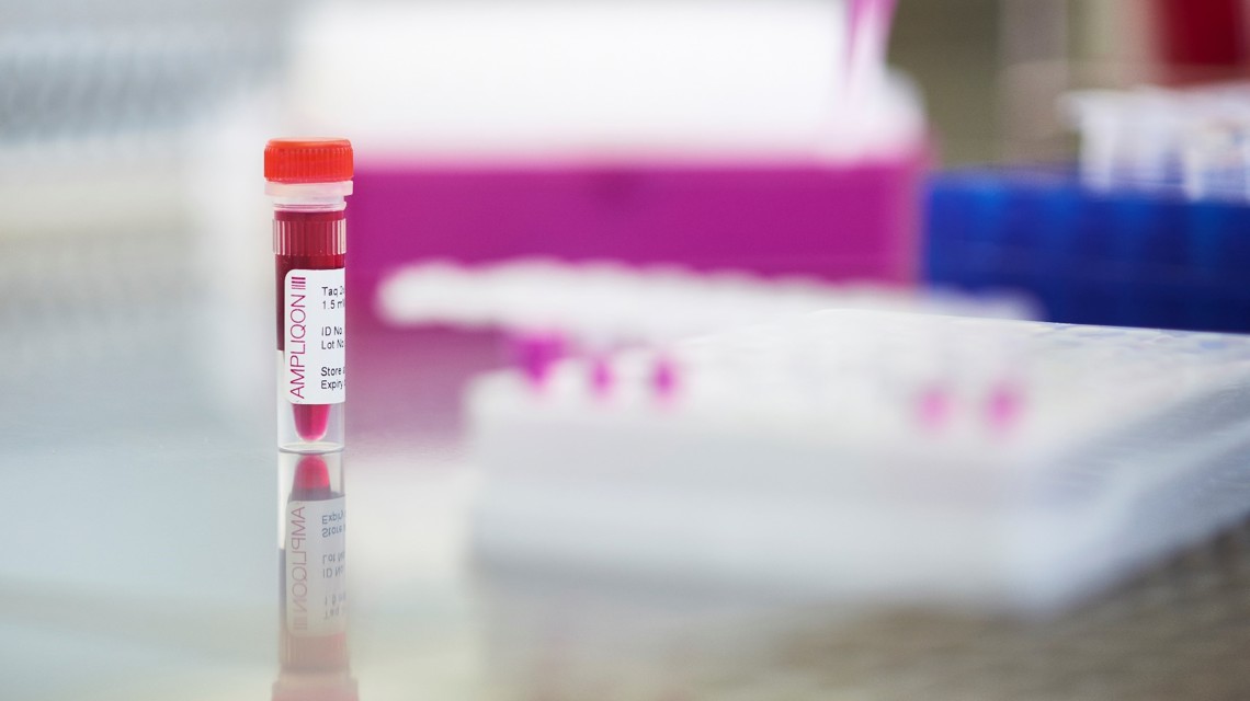 Ampliqon Taq DNA Polymerase Master Mix RED