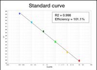 Sensitive Detection And Accurate Quantification Standard Curve