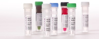 8 Pcr Buffer System