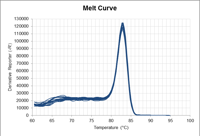 Melt Curve Realq Plus Green