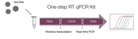 One Step RT Qpcr Kit