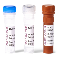 RT qPCR