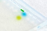 DIRECT GEL LOADING GREEN YELLOW BLUE