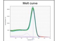 Sensitive Detection And Accurate Quantification Melt Curve