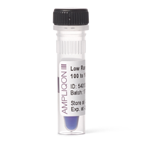 Low Range DNA Ladder