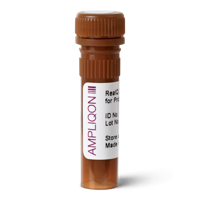 Realq Plus Master Mix For Probe