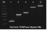 Drytech Performance Web