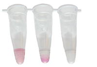 Taq Dna Polymerase Master Mix Red Tubes
