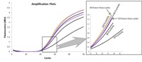 Stability Amplification Plots